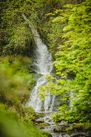 015CA_Pre_554C0642